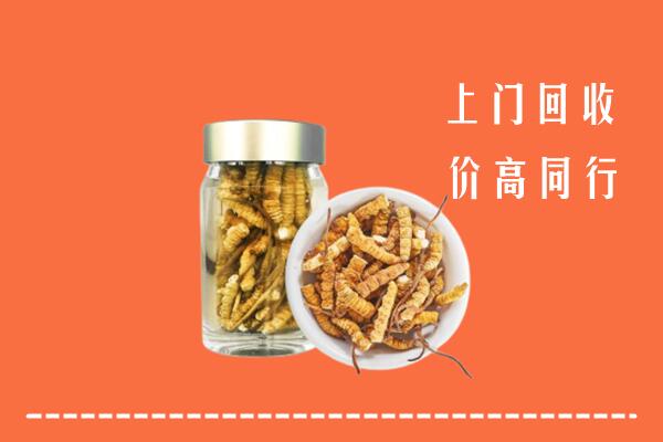日喀则市亚东回收冬虫夏草